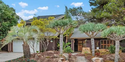 1184 Sidonia Ct, Encinitas