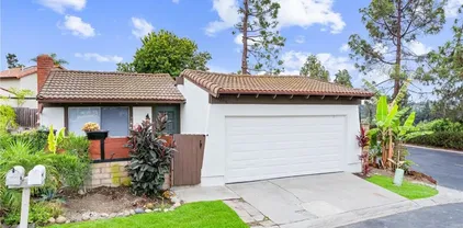 31206 Calle, San Juan Capistrano