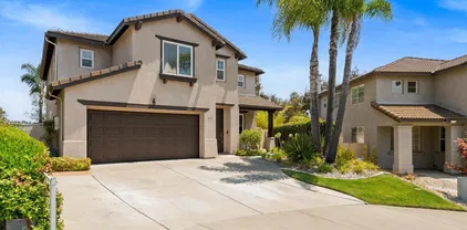 315 Sunbird Ct, San Marcos