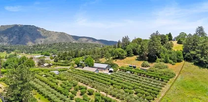 2645 Apple Ln, Julian