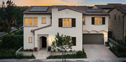 61 English Saddle, Irvine