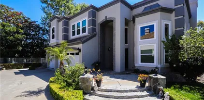 26962 Willow Tree Ln, Laguna Hills