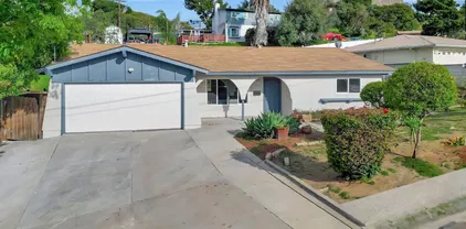 3943 Nereis Dr, La Mesa
