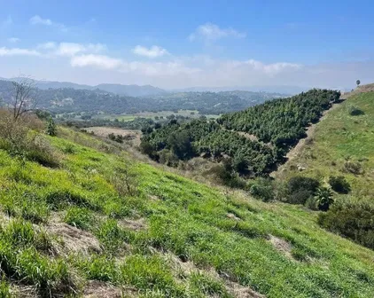20 Terreno, Temecula