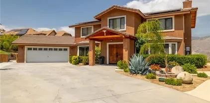 45540 Denizen Heights Rd, Hemet
