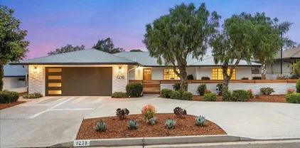 1238 San Julian Dr, San Marcos