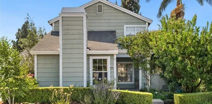 22 Silkleaf, Irvine