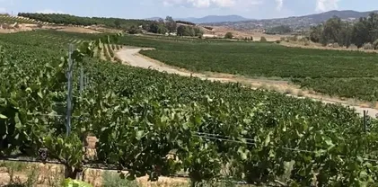 Valle Toscana Ct, Temecula