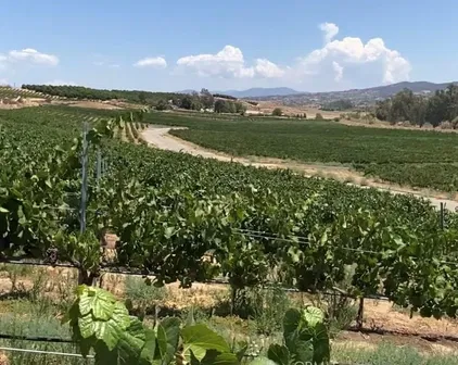 Valle Toscana Ct, Temecula