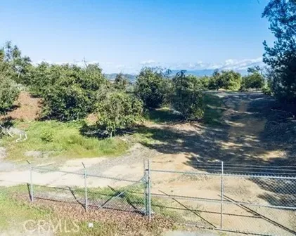 Los Gatos, Temecula