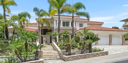 3211 E Mandeville Pl, Orange