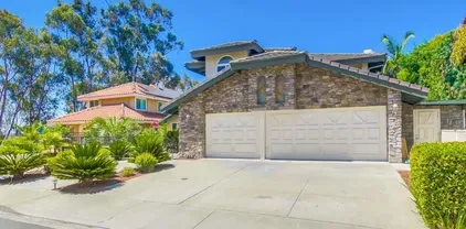 10616 Falcon Rim Pt, Scripps Ranch
