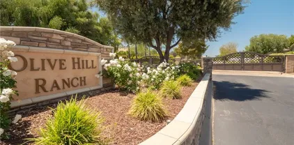 42926 Joshua Tree Ct, Murrieta