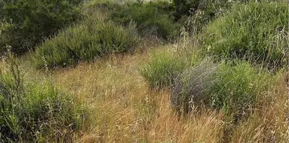 Voyager Rd, Temecula