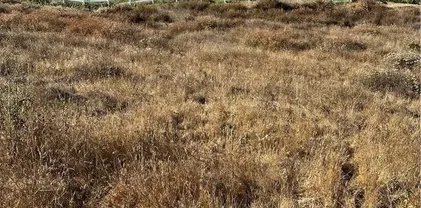 Mazoe, Temecula