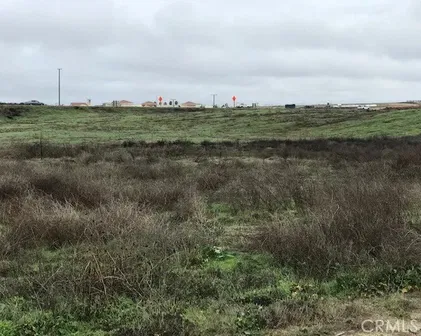 Guava, Murrieta