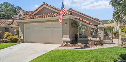 29016 Laurel Valley Dr, Vista