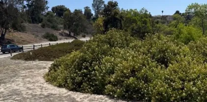 Otay Lk, Bonita