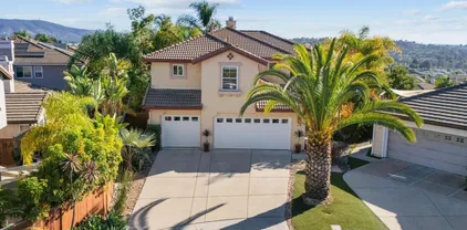 651 Alta Ct, San Marcos