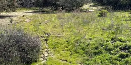 56 Taffel Rnch, Hemet