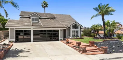 1041 S Falling Leaf Cir, Anaheim Hills