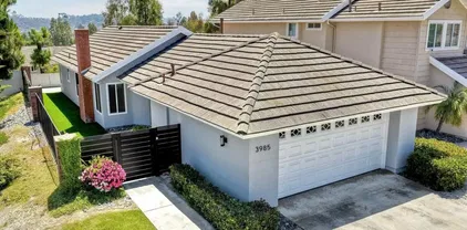 3985 Carmel Springs Way, Carmel Valley