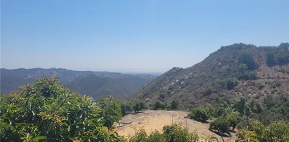 Los Gatos, Temecula