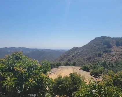 Los Gatos, Temecula