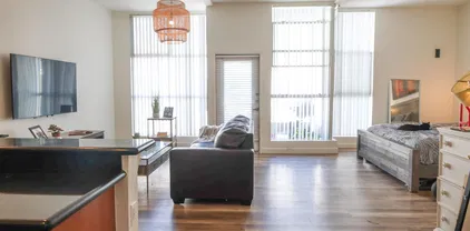 120 Island Ave Unit 332, Downtown