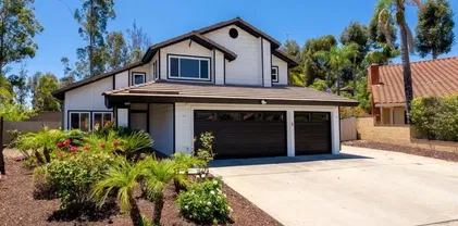 12709 Treeridge Ter, Poway
