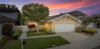 29 Blackswan, Irvine