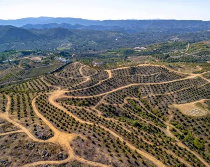 45000 Rancho Fallbrook, Temecula