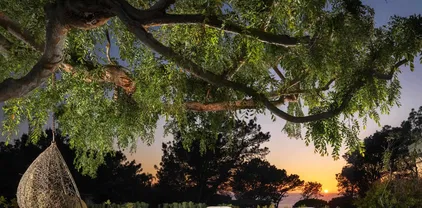 327 Pine Needles Dr, Del Mar