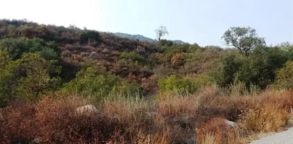 Carancho, Temecula