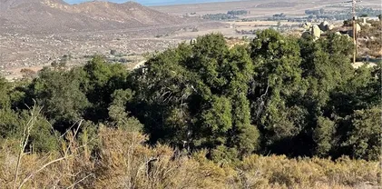 Minto, Hemet