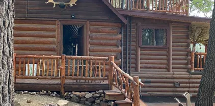 43133 Sheephorn Rd, Big Bear Lake