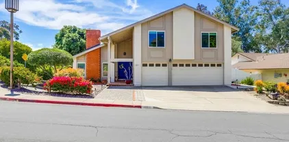 10831 Ironwood Rd, Scripps Ranch