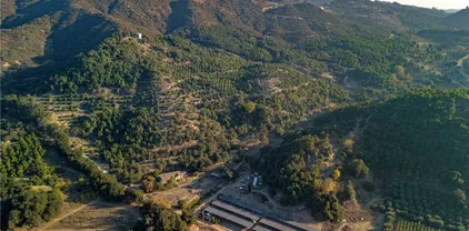 40685 De Luz Murrieta Rd, Fallbrook