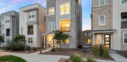 1719 Zelda Lane, Thornton