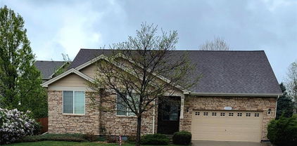 13349 Krameria Street, Thornton
