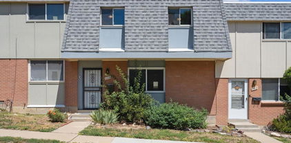 1119 Milky Way, Thornton