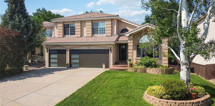 13965 Sandtrap Circle, Broomfield