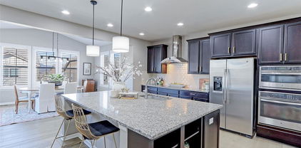 16021 Williams Place, Broomfield