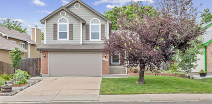 12193 Deerfield Way, Broomfield