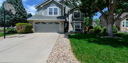 1387 Mcintosh Avenue, Broomfield