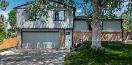 12296 Birch Street, Thornton