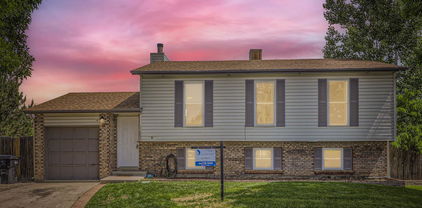 11062 Hudson Court, Thornton