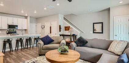 11294 Bella Vita Drive, Broomfield