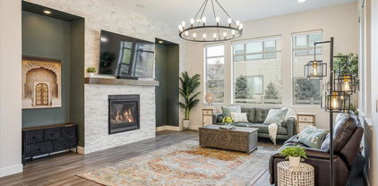 16392 Spanish Peak Way, Broomfield