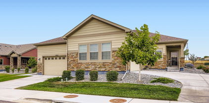 12659 Tamarac Street, Thornton